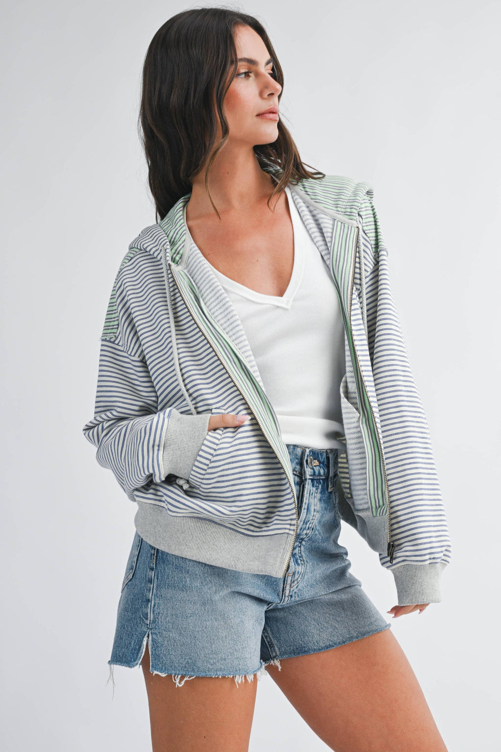 Striped Zip Hoodie